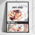 PAPA ROACH | Infest