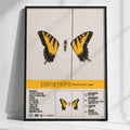 PARAMORE | Brand New Eyes