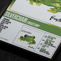 SILVERCHAIR | Frogstomp