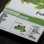SILVERCHAIR | Frogstomp