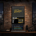 Pearl Jam - Vitalogy Album Poster Hanging in Music Studio Room Decor